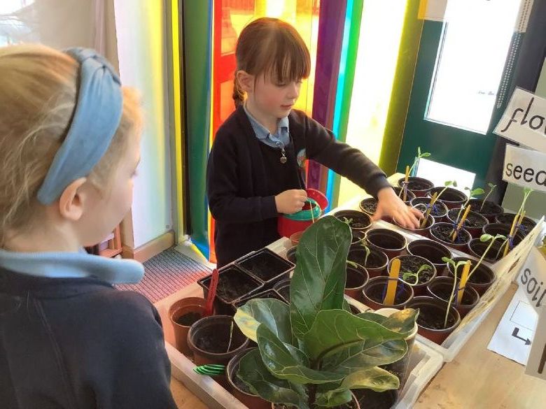 Red Hill C of E Primary School Reception